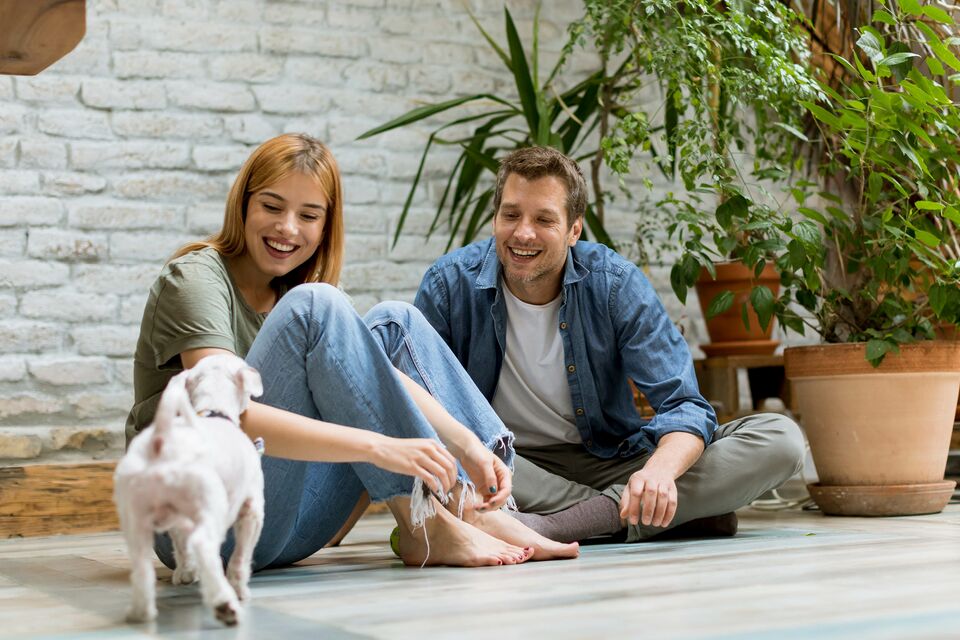 Glückliches jungen Pärchen sitzt am Bodern mit ihrem Hund im gekühlten Raum